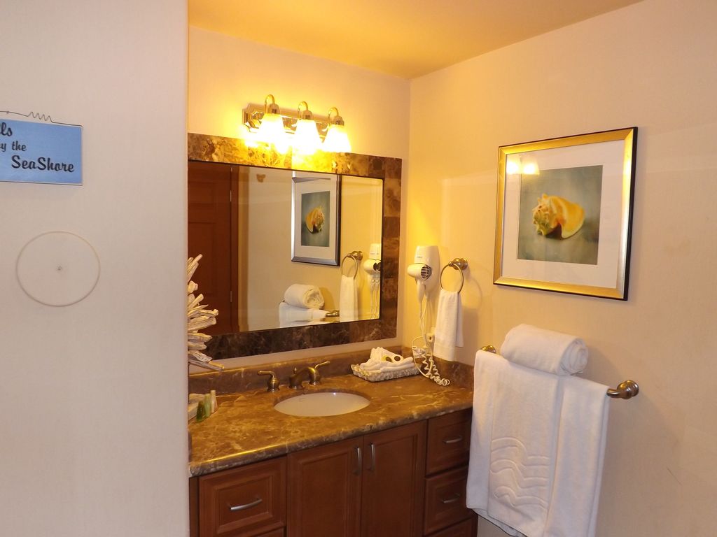 Large sink and mirror adorn this ample bathroom